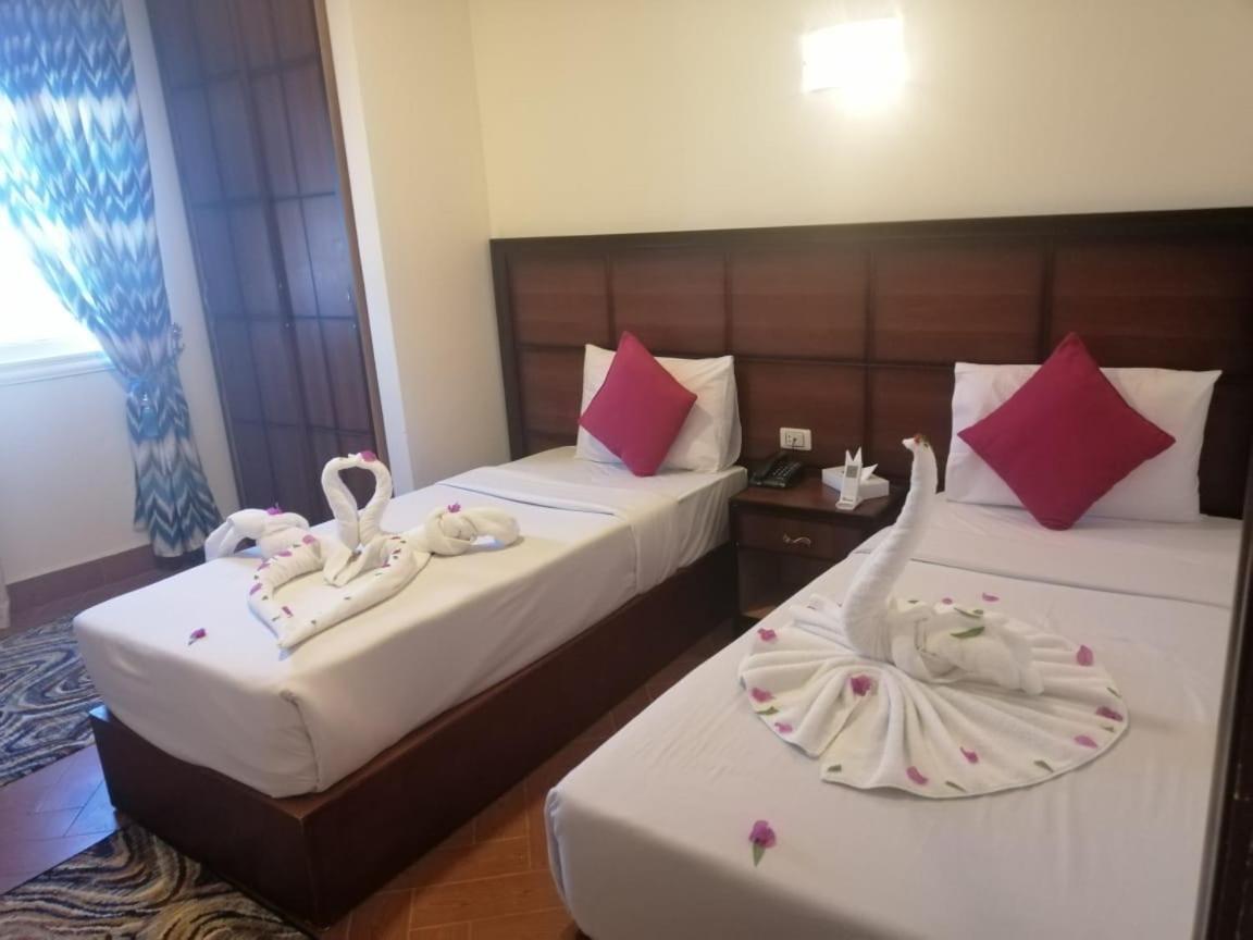 Dolphin Hotel El Qoseir Ngoại thất bức ảnh