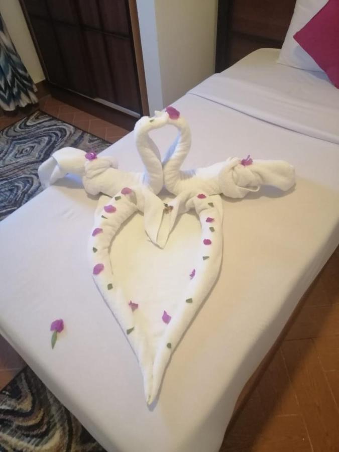 Dolphin Hotel El Qoseir Ngoại thất bức ảnh